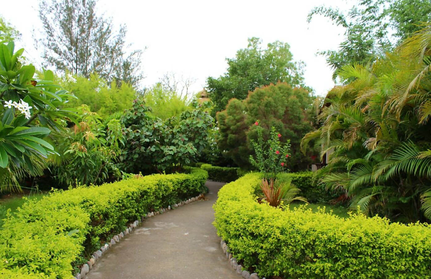 Alaya Resort& Spa Corbett
