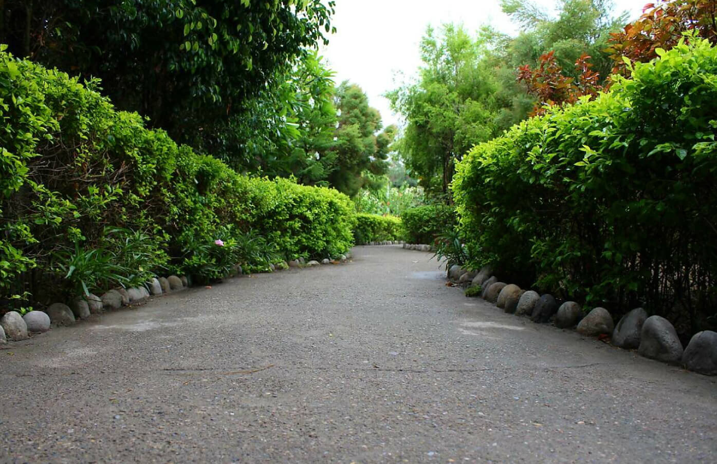 Alaya Resort& Spa Corbett