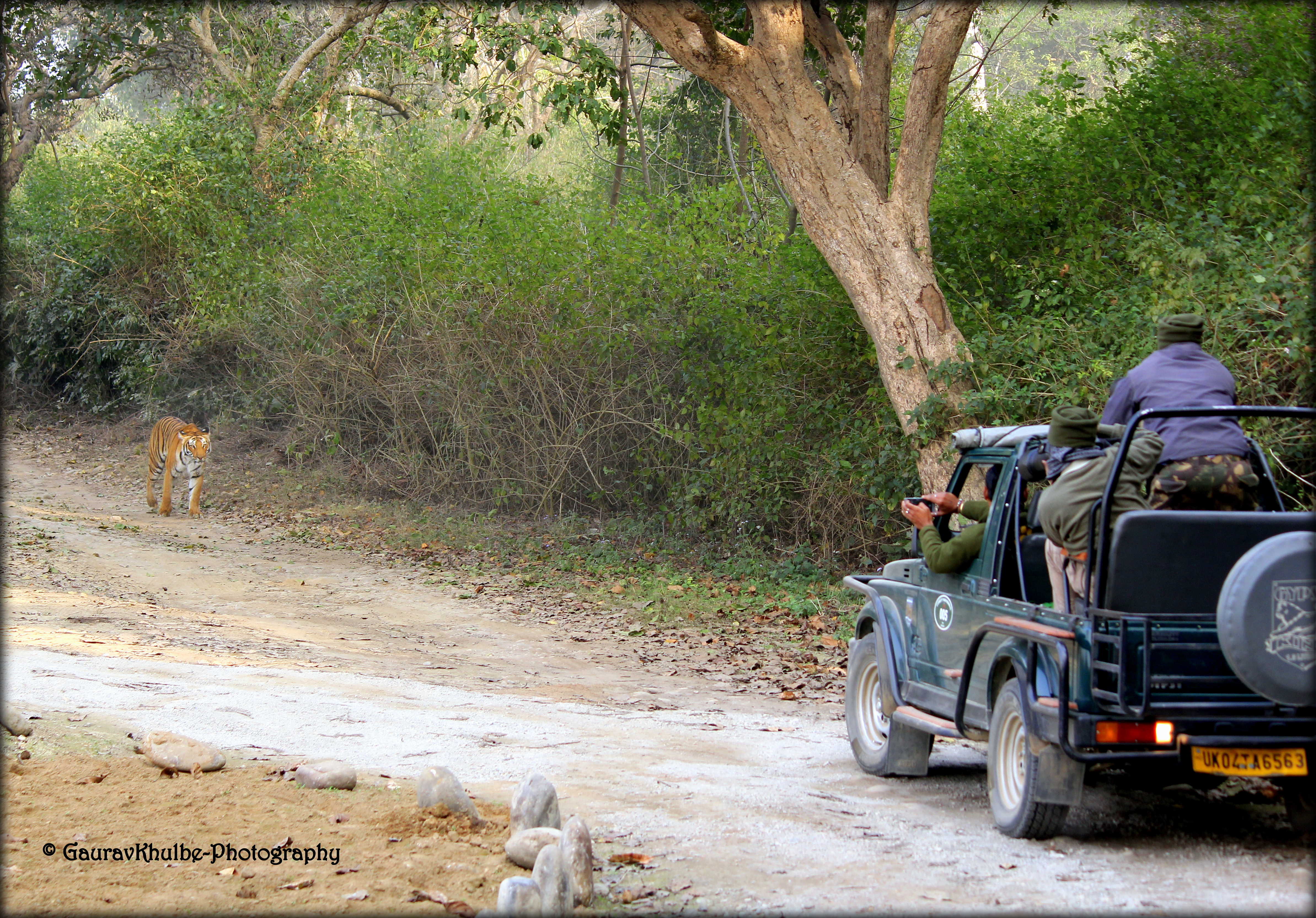 Jim Corbett Jeep/Car Rental